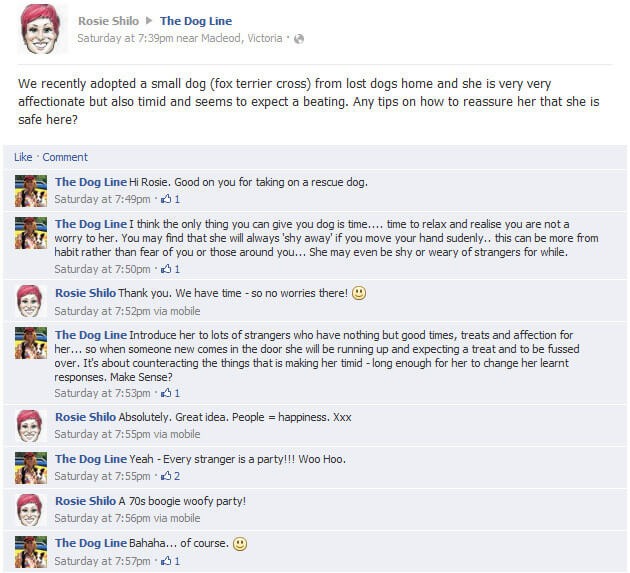 facebook comment